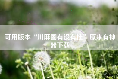 可用版本“川麻圈有没有挂”原来有神器下载