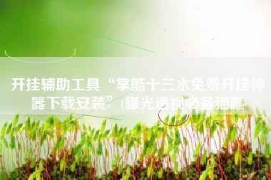 开挂辅助工具“掌酷十三水免费开挂神器下载安装”(曝光透视必备猫腻