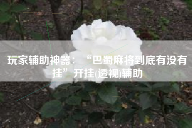 玩家辅助神器：“巴蜀麻将到底有没有挂”开挂(透视)辅助