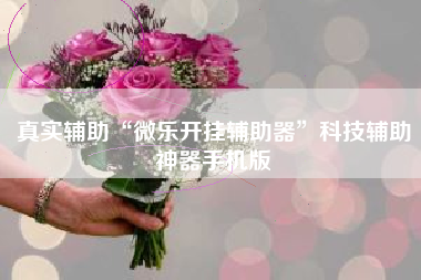 真实辅助“微乐开挂辅助器”科技辅助神器手机版 真实辅助“微乐开挂辅助器”科技辅助神器手机版