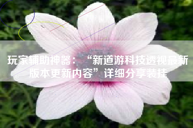 玩家辅助神器:“新道游科技透视最新版本更新内容”详细分享装挂 玩家辅助神器:“新道游科技透视最新版本更新内容”详细分享装挂