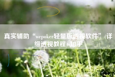 真实辅助“wepoker轻量版透视软件”(详细透视教程)-知乎