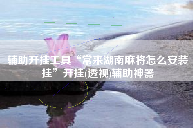 辅助开挂工具“常来湖南麻将怎么安装挂”开挂(透视)辅助神器 辅助开挂工具“常来湖南麻将怎么安装挂”开挂(透视)辅助神器