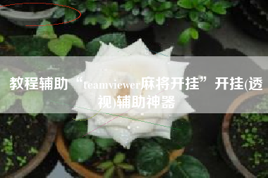 教程辅助“teamviewer麻将开挂”开挂(透视)辅助神器 教程辅助“teamviewer麻将开挂”开挂(透视)辅助神器