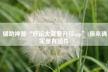 辅助神器“好运大菠萝开挂app”(原来确实是有插件)