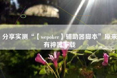 分享实测“【wepoker】辅助器脚本”原来有神器下载 分享实测“【wepoker】辅助器脚本”原来有神器下载