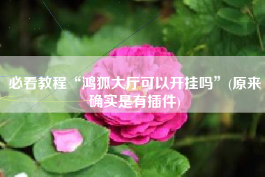 必看教程“鸿狐大厅可以开挂吗”(原来确实是有插件)