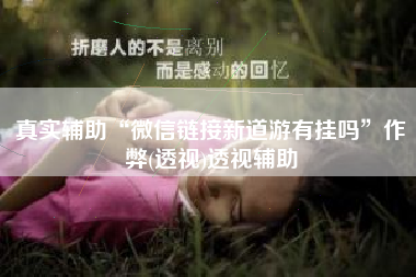 真实辅助“微信链接新道游有挂吗”作弊(透视)透视辅助