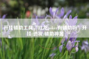 开挂辅助工具“红龙poker有辅助吗”开挂(透视)辅助神器 开挂辅助工具“红龙poker有辅助吗”开挂(透视)辅助神器