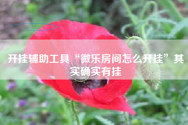 开挂辅助工具“微乐房间怎么开挂”其实确实有挂 开挂辅助工具“微乐房间怎么开挂”其实确实有挂