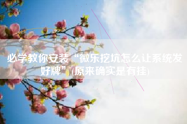 必学教你安装“微乐挖坑怎么让系统发好牌”(原来确实是有挂) 必学教你安装“微乐挖坑怎么让系统发好牌”(原来确实是有挂)