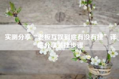 实测分享“老板互娱到底有没有挂”详细分享装挂步骤