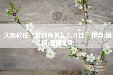 实操教程“省神麻将怎么开挂”作弊(透视)透视辅助