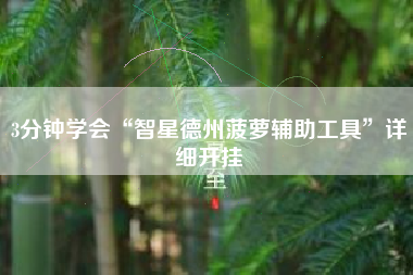 3分钟学会“智星德州菠萝辅助工具”详细开挂