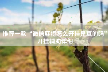 推荐一款“微信麻将怎么开挂是真的吗”开挂辅助详细 推荐一款“微信麻将怎么开挂是真的吗”开挂辅助详细