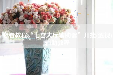 必看教程“七喜大厅辅助器”开挂(透视)辅助教程