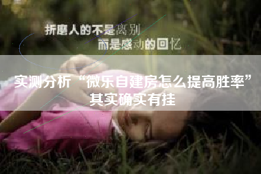 实测分析“微乐自建房怎么提高胜率”其实确实有挂