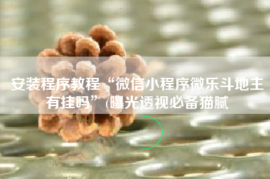 安装程序教程“微信小程序微乐斗地主有挂吗”(曝光透视必备猫腻 安装程序教程“微信小程序微乐斗地主有挂吗”(曝光透视必备猫腻