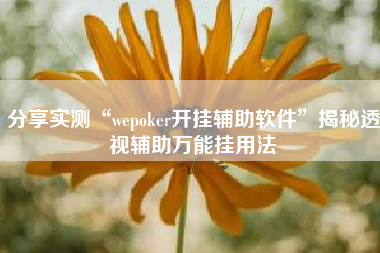 分享实测“wepoker开挂辅助软件”揭秘透视辅助万能挂用法
