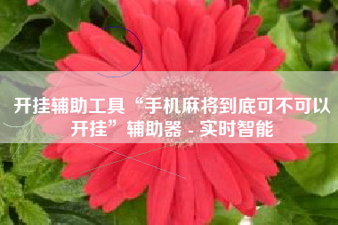 开挂辅助工具“手机麻将到底可不可以开挂”辅助器 - 实时智能