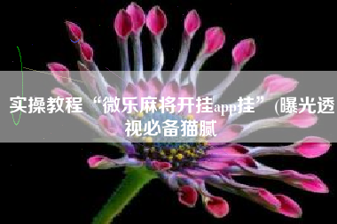 实操教程“微乐麻将开挂app挂”(曝光透视必备猫腻 实操教程“微乐麻将开挂app挂”(曝光透视必备猫腻