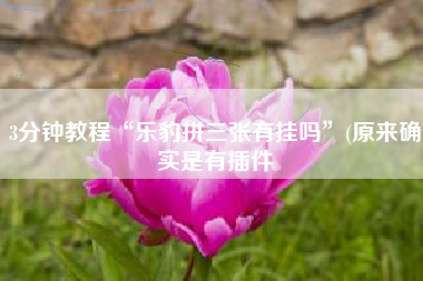 3分钟教程“乐豹拼三张有挂吗”(原来确实是有插件 3分钟教程“乐豹拼三张有挂吗”(原来确实是有插件