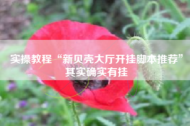 实操教程“新贝壳大厅开挂脚本推荐”其实确实有挂