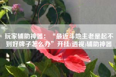 玩家辅助神器:“最近斗地主老是起不到好牌子怎么办”开挂(透视)辅助神器 玩家辅助神器:“最近斗地主老是起不到好牌子怎么办”开挂(透视)辅助神器