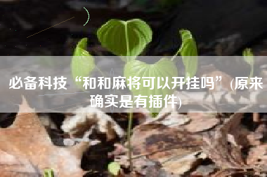 必备科技“和和麻将可以开挂吗”(原来确实是有插件) 必备科技“和和麻将可以开挂吗”(原来确实是有插件)