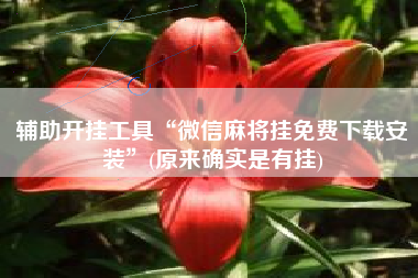 辅助开挂工具“微信麻将挂免费下载安装”(原来确实是有挂)