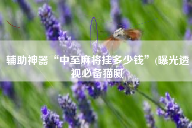 辅助神器“中至麻将挂多少钱”(曝光透视必备猫腻 辅助神器“中至麻将挂多少钱”(曝光透视必备猫腻