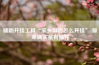 辅助开挂工具“家乡麻将怎么开挂”(原来确实是有插件 辅助开挂工具“家乡麻将怎么开挂”(原来确实是有插件