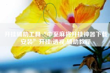 开挂辅助工具“中至麻将开挂神器下载安装”开挂(透视)辅助教程 开挂辅助工具“中至麻将开挂神器下载安装”开挂(透视)辅助教程