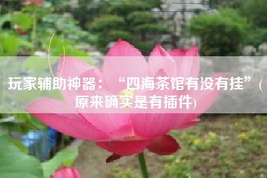 玩家辅助神器:“四海茶馆有没有挂”(原来确实是有插件) 玩家辅助神器:“四海茶馆有没有挂”(原来确实是有插件)