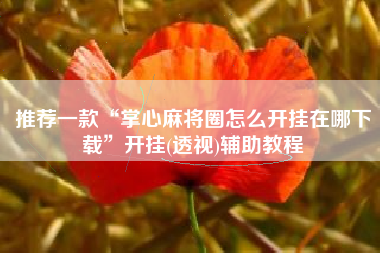 推荐一款“掌心麻将圈怎么开挂在哪下载”开挂(透视)辅助教程