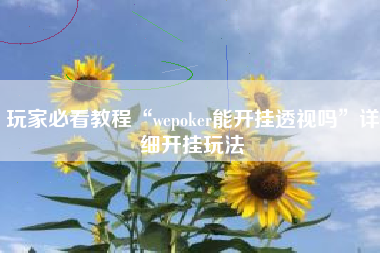 玩家必看教程“wepoker能开挂透视吗”详细开挂玩法 玩家必看教程“wepoker能开挂透视吗”详细开挂玩法