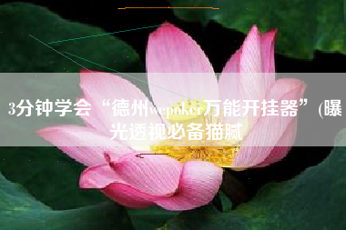 3分钟学会“德州wepoker万能开挂器”(曝光透视必备猫腻
