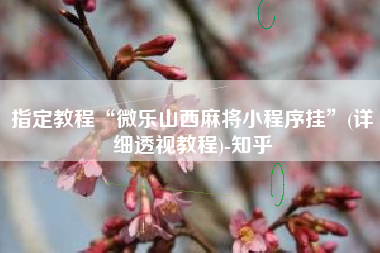 指定教程“微乐山西麻将小程序挂”(详细透视教程)-知乎