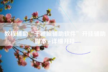 教程辅助“干瞪眼辅助软件”开挂辅助脚本+详细开挂