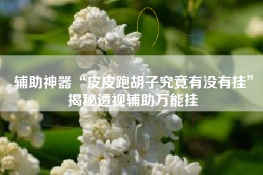 辅助神器“皮皮跑胡子究竟有没有挂”揭秘透视辅助万能挂