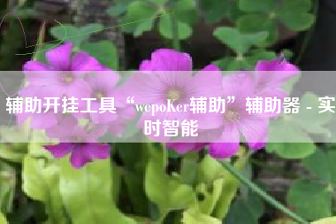辅助开挂工具“wepoKer辅助”辅助器 - 实时智能 辅助开挂工具“wepoKer辅助”辅助器 - 实时智能