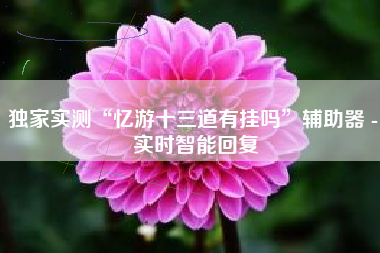 独家实测“忆游十三道有挂吗”辅助器 - 实时智能回复 独家实测“忆游十三道有挂吗”辅助器 - 实时智能回复