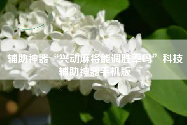 辅助神器“兴动麻将能调胜率吗”科技辅助神器手机版