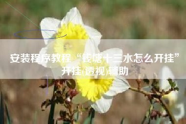 安装程序教程“钱塘十三水怎么开挂”开挂(透视)辅助
