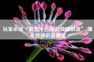 玩家必读“微信十三张游戏辅助器”(曝光透视必备猫腻 玩家必读“微信十三张游戏辅助器”(曝光透视必备猫腻