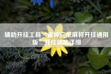 辅助开挂工具“雀神广东麻将开挂通用版”开挂辅助详细 辅助开挂工具“雀神广东麻将开挂通用版”开挂辅助详细