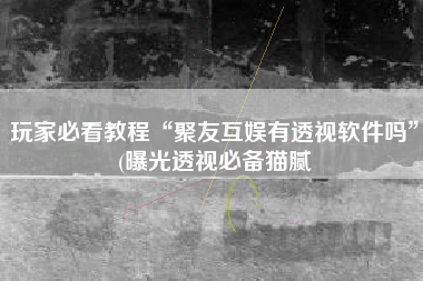 玩家必看教程“聚友互娱有透视软件吗”(曝光透视必备猫腻 玩家必看教程“聚友互娱有透视软件吗”(曝光透视必备猫腻