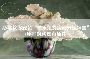 必学教你安装“微乐免费房间开挂神器”(原来确实是有插件 必学教你安装“微乐免费房间开挂神器”(原来确实是有插件