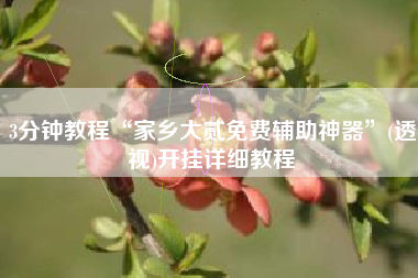 3分钟教程“家乡大贰免费辅助神器”(透视)开挂详细教程 3分钟教程“家乡大贰免费辅助神器”(透视)开挂详细教程