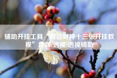 辅助开挂工具“微信财神十三张开挂教程”作弊(透视)透视辅助